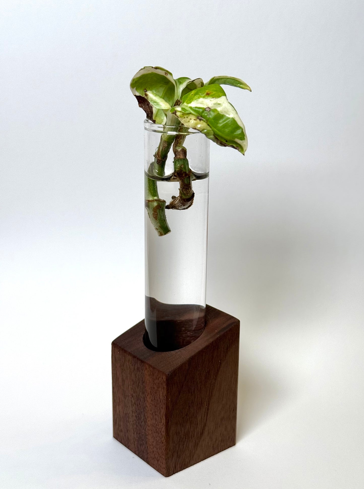 Angled propagation station