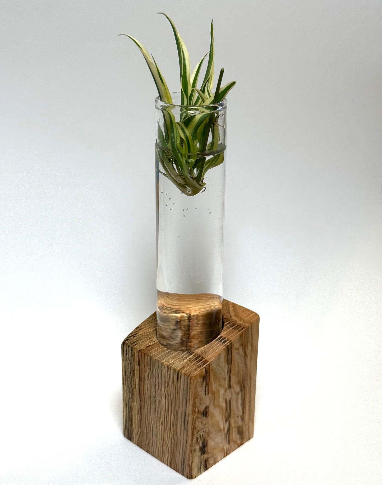 Angled propagation station