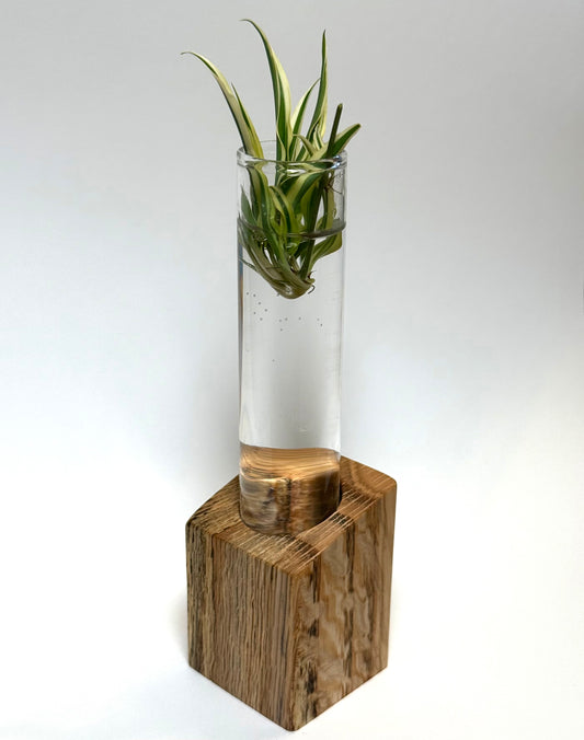 Angled propagation station