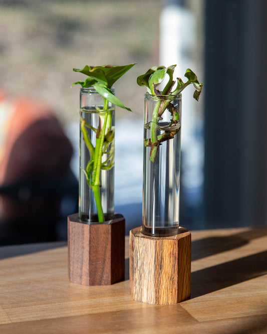 Hexagon propagation station