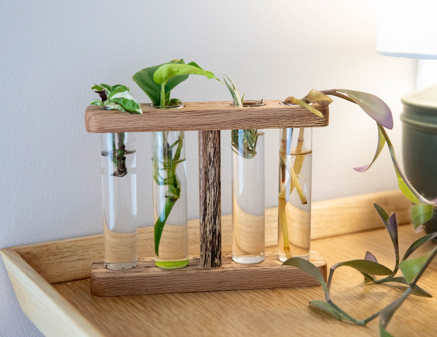 Red Oak Propagation Bay