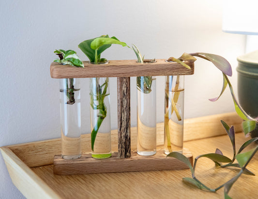 Red Oak Propagation Bay